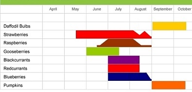 Walesl fruit picking season chart