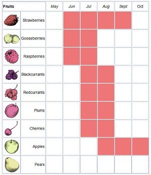 The White House Fruit Calendar